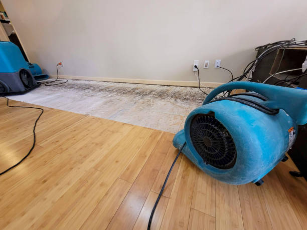 Professional Flood Damage Cleanup technician working in Round Top, NY